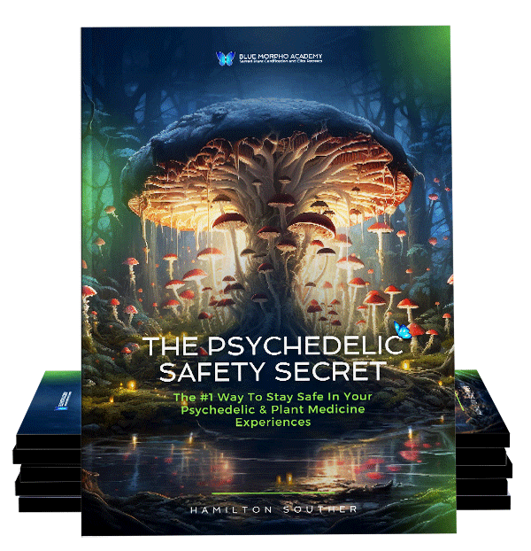 The Psychedelic Safety Secret book cover for giveaway