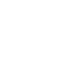 The Denver Post logo used as link to news story about Blue Morpho and Master Shaman Hamilton Souther