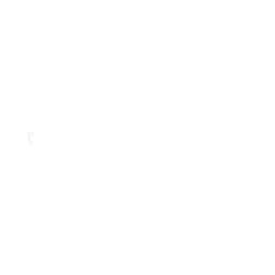The New York Times logo used as link to news story about Blue Morpho and Master Shaman Hamilton Souther
